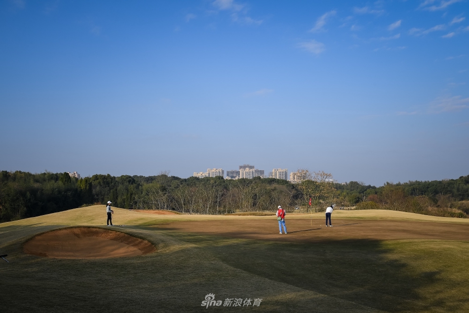 冠军黑纯一推杆瞬间,目光如炬锁定球洞,全场寂静等待小白球进洞