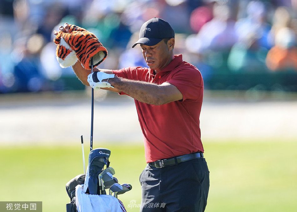 伍兹与球童乔·拉卡瓦在果岭边专注讨论,两人的背影诠释着信任、忠诚与并肩作战的深厚情谊