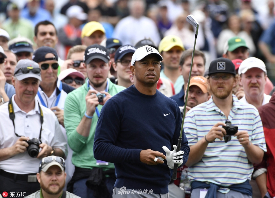 ld乐动·体育app下载