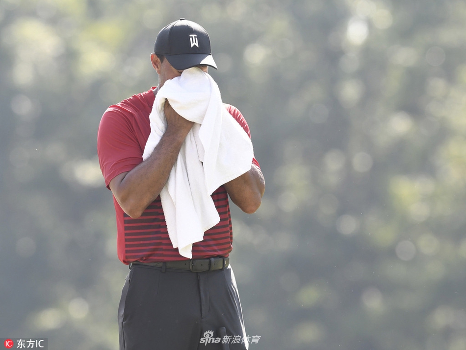 夕阳余晖下，伍兹完成最后一推，表情平静中带着对比赛的思考。