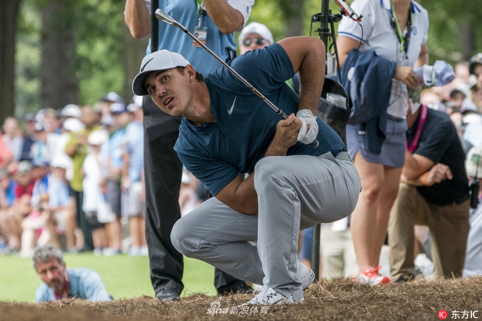 专业摄影师在赛场边捕捉决定性瞬间，他们的镜头记录着高尔夫历史中每一个激动人心的时刻