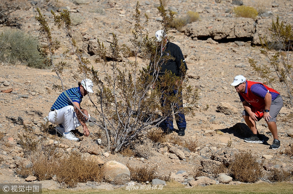 从高尔夫球场眺望拉斯维加斯繁华的城市天际线，摩天轮与酒店高楼在暮色中闪亮，与宁静的球场形成鲜明对比。