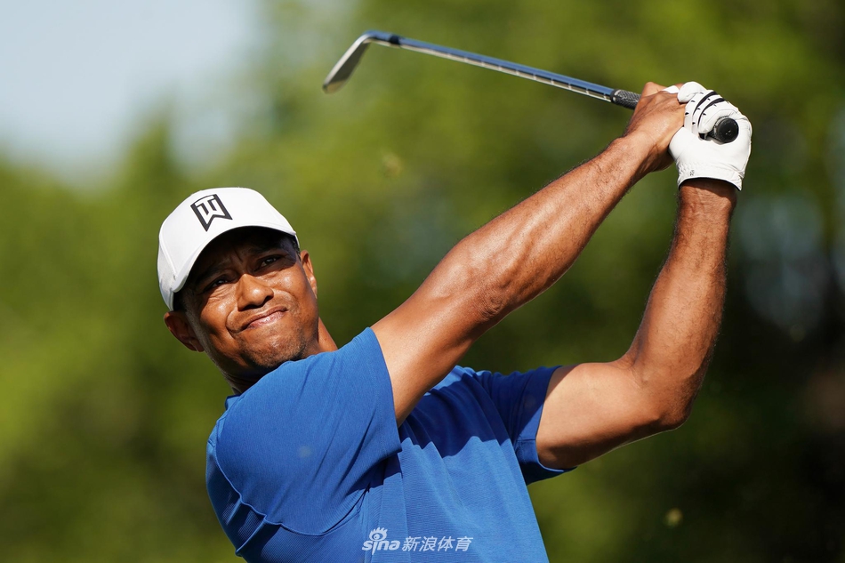 老虎伍兹在果岭上仔细研判推杆线路，他俯身查看草纹，表情严肃而认真。