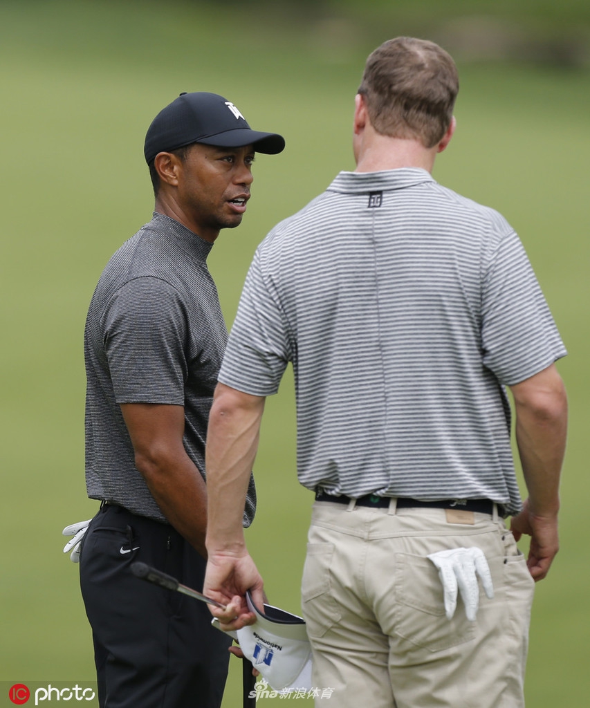 在果岭边，伍兹单膝跪地，仔细审视推杆线路的细微转折，仿佛一位战略家在研究他的战场地图。