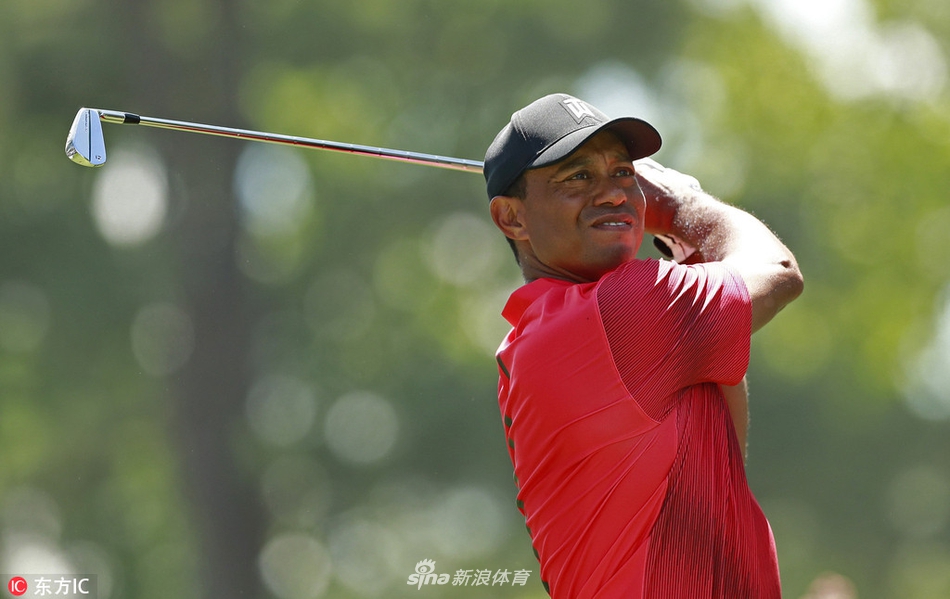 泰格·伍兹在球道上调整握杆,眼神中透露出对推杆状态的困惑与思索。
