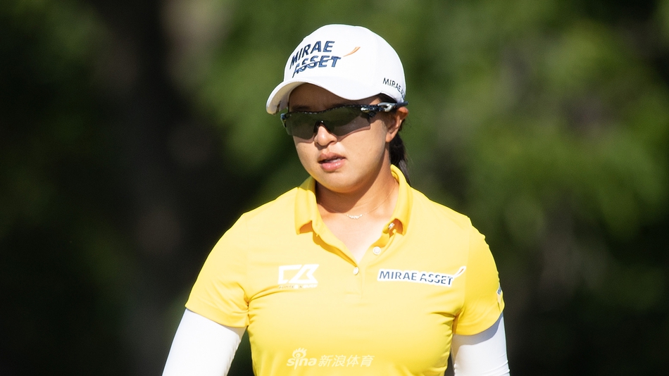 爱游体育app网页版