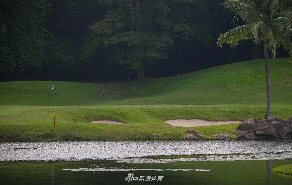 赛事进行中，不同肤色的球员们齐聚一堂，友谊与竞争同在，构成了国际高坛一道亮丽而和谐的风景线。