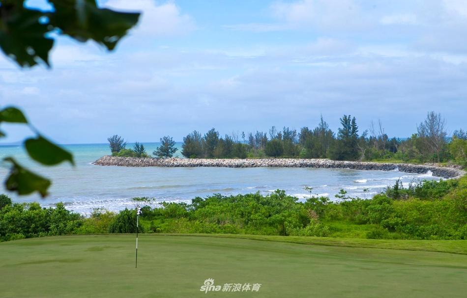 从高处俯瞰，球场线条流畅优美，与远处的森林和海洋和谐共生，展现出现代设计与原始自然的完美融合。