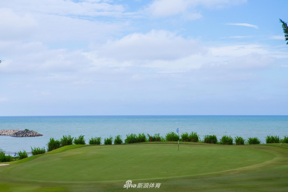 一位女球员正专注推杆，阳光勾勒出她沉静而坚定的侧影，翠绿果岭与背景中的海天一色成为最佳衬托。