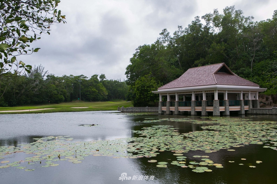 球场边缘，茂盛的热带植物与精心养护的草坪形成鲜明层次，一条小径引向未知的胜景。