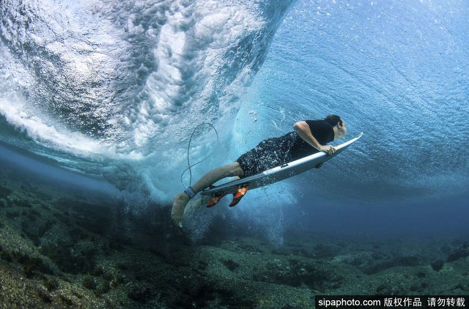 极限冲浪 新浪网