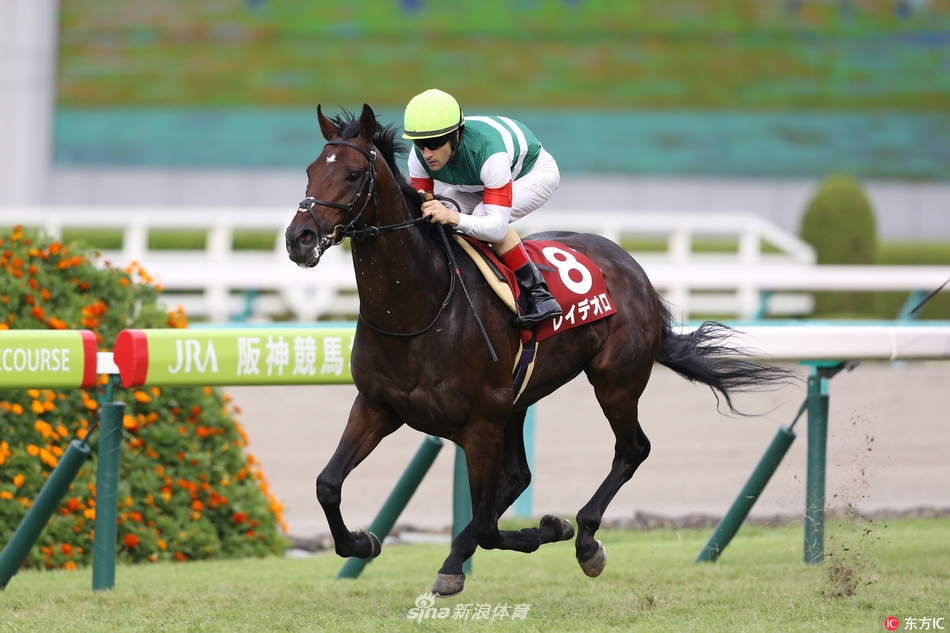 28 14:37:42 1 / 3 当地时间2017年9月24日,日本兵库县,阪神赛马场