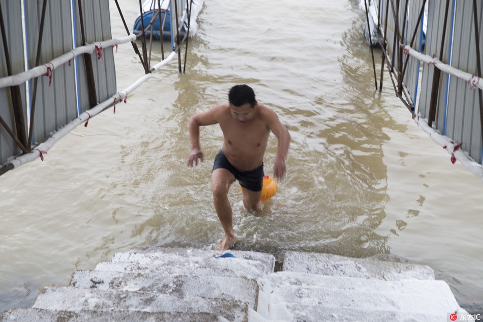 mgty奇异果体育官网入口