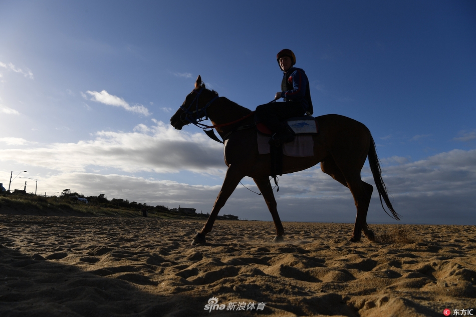 三亿体育网页版