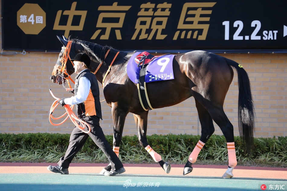 日本赛马冠军杯骑手莫雅夺冠