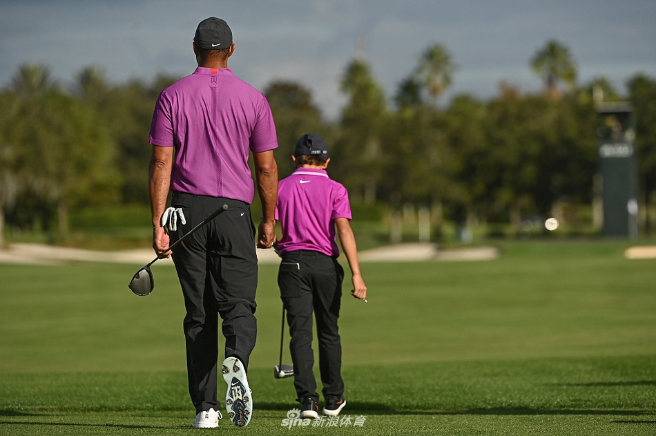 查理·伍兹挥杆瞬间，动作流畅而有力，年轻的脸庞上写满了专注与自信。