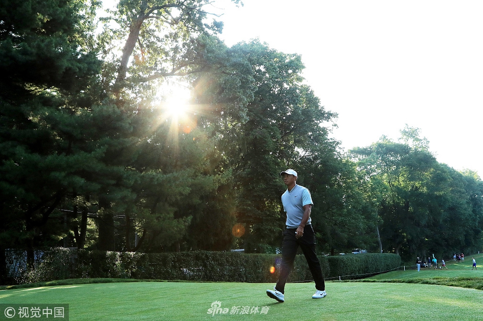 伍兹在北美信托赛移动日比赛中,于球道上凝神观察,专注的眼神中透露出对胜利的坚定渴望。