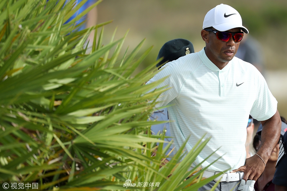 老虎伍兹于18号洞果岭边全神贯注,完成一次关键的救球,目光如炬。