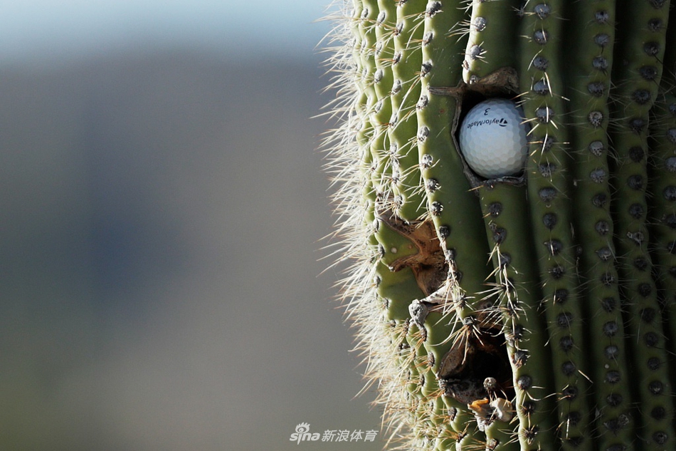 四巨头同框笑谈,轻松氛围弥漫于赛场之上
