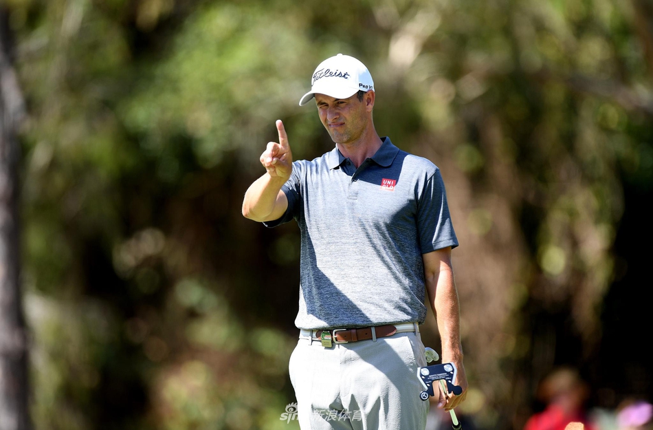 皇家松树球场全景，绿茵、沙坑与松林在阳光下交织成挑战与美景