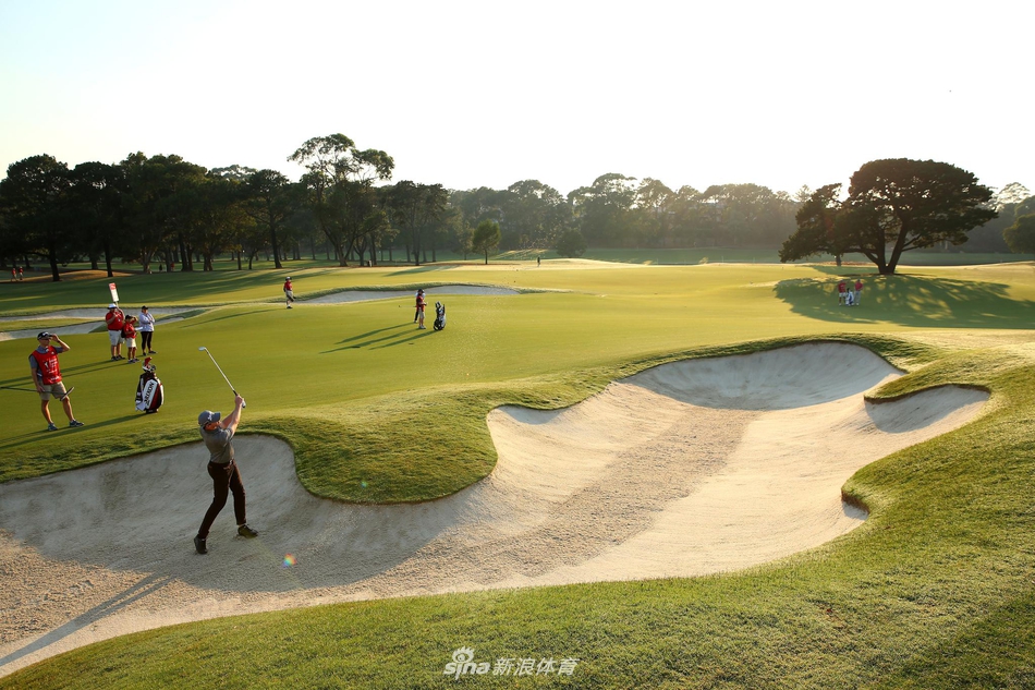 亚当-斯科特在皇家松树度假村第18洞果岭优雅推杆，身后松林与蓝天构成绝美背景