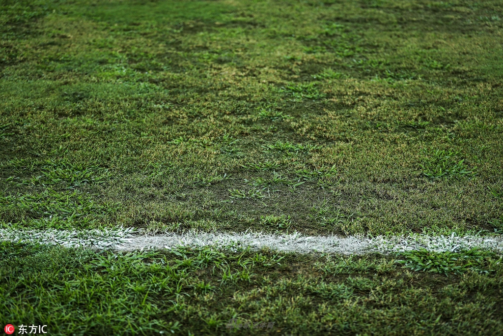 红黑军团-乐鱼app(leyu)官方网站-乐鱼官网