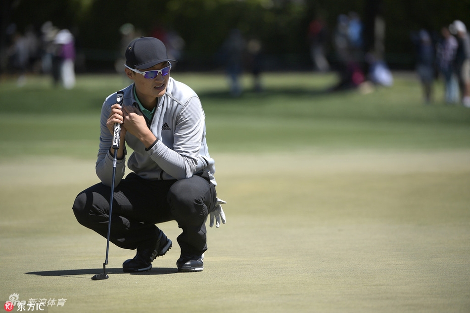 泰勒·古奇在比赛中果岭边进行切杆，他眉头微蹙，全神贯注地评估着球位与旗杆之间的距离和地形