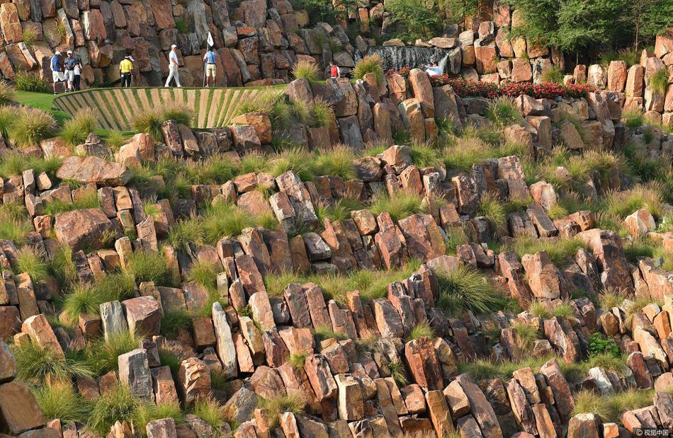 特写镜头下,一只戴着专业手套的手紧握球杆,手背青筋微显,充满力量与控制感。