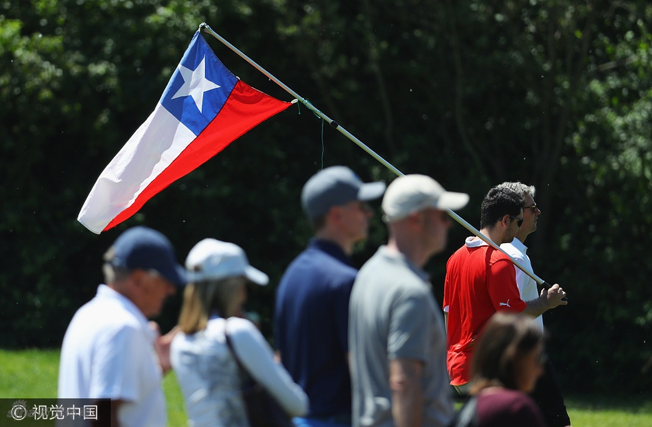 几位远道而来的智利球迷手持国旗，神情专注而落寞地观赛，他们的支持始终伴随着失意的阿吉拉。