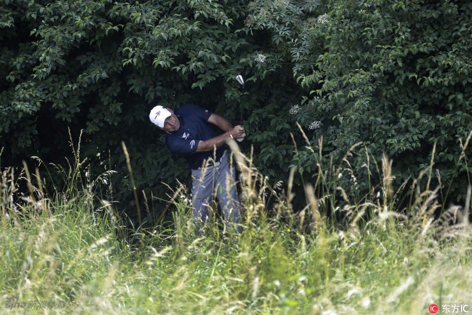 传奇球星厄尼·埃尔斯在比赛中专注地观察果岭起伏，他的出现为宝马国际赛增添了更多星光。