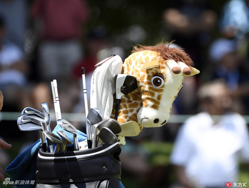 马特·库查尔在果岭边细致地切杆，神情专注，力求在艰难的一轮后挽回局面。