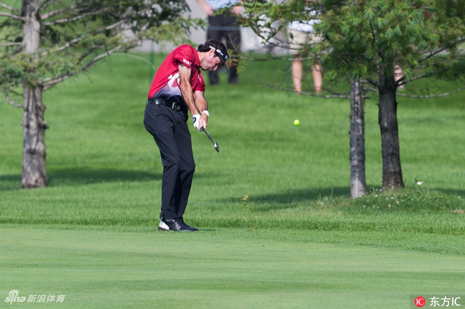 查利·霍夫曼在开球台上沉稳挥杆，白色小球在蓝天绿地的映衬下划出一道有力的弧线。