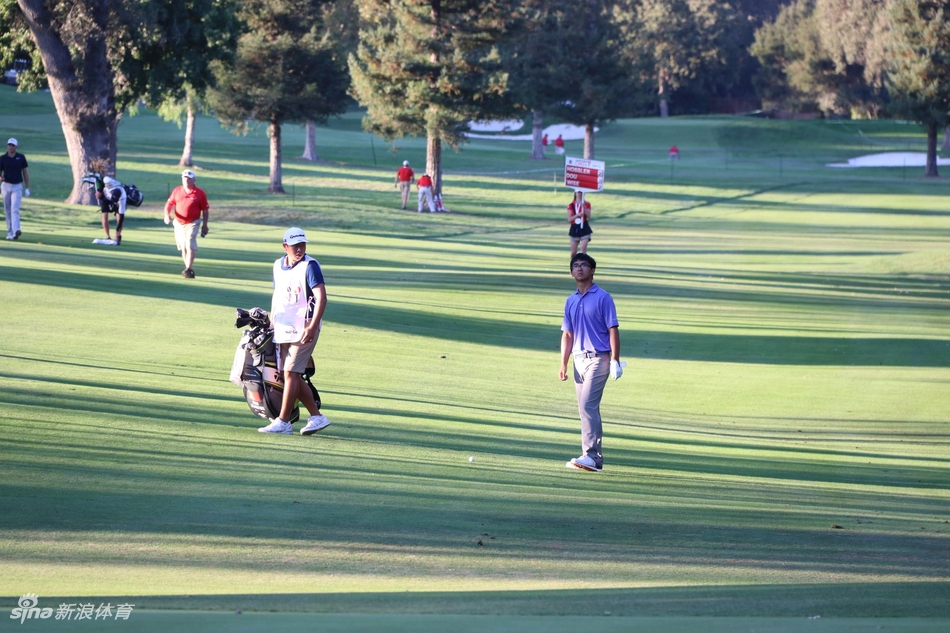 张新军在果岭边仔细研判球路，阳光洒在草地上，衬托出他追求卓越、一丝不苟的竞技精神。