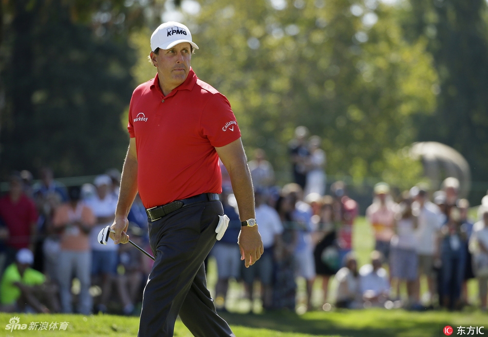 菲尔·米克尔森在果岭边凝神观察推杆线路，专注的神情中透露出对胜利的渴望。