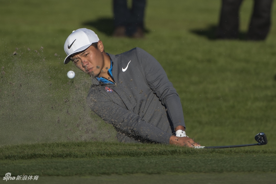 新西兰皇家惠灵顿高尔夫球会全景，起伏的球道与精心修剪的果岭在阳光下景色如画。