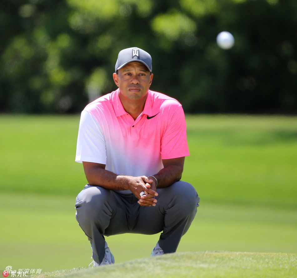 老虎伍兹在果岭上俯身仔细观察推杆线路,他眉头微蹙,右手轻轻擦拭额角的汗水,展现出比赛中的高度专注与体力消耗。