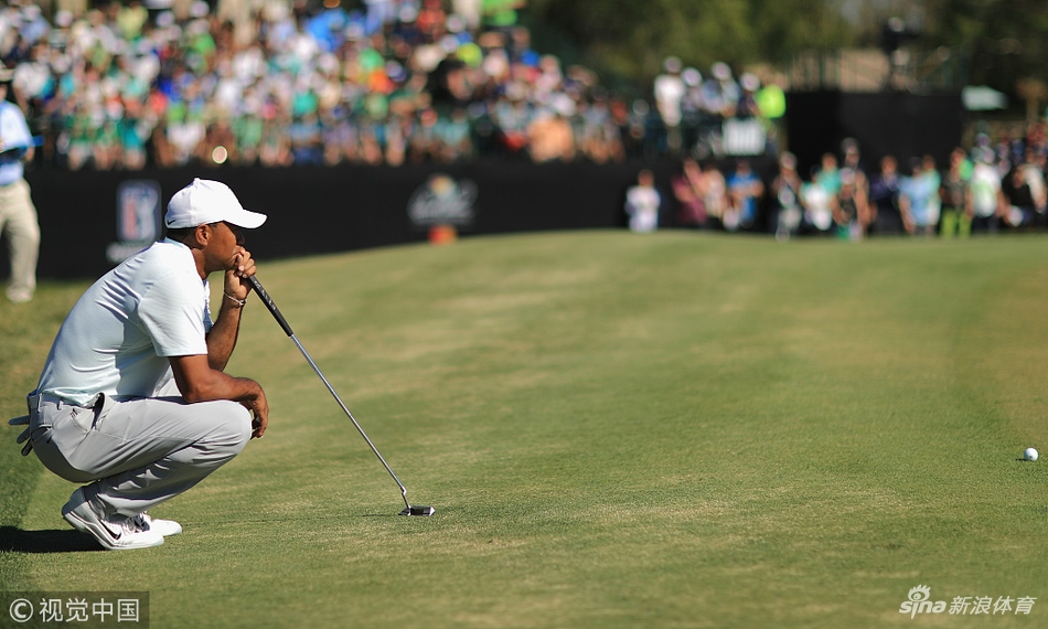 伍兹在比赛中弯腰仔细阅读果岭起伏，用推杆感受草纹，全神贯注地准备关键一推。