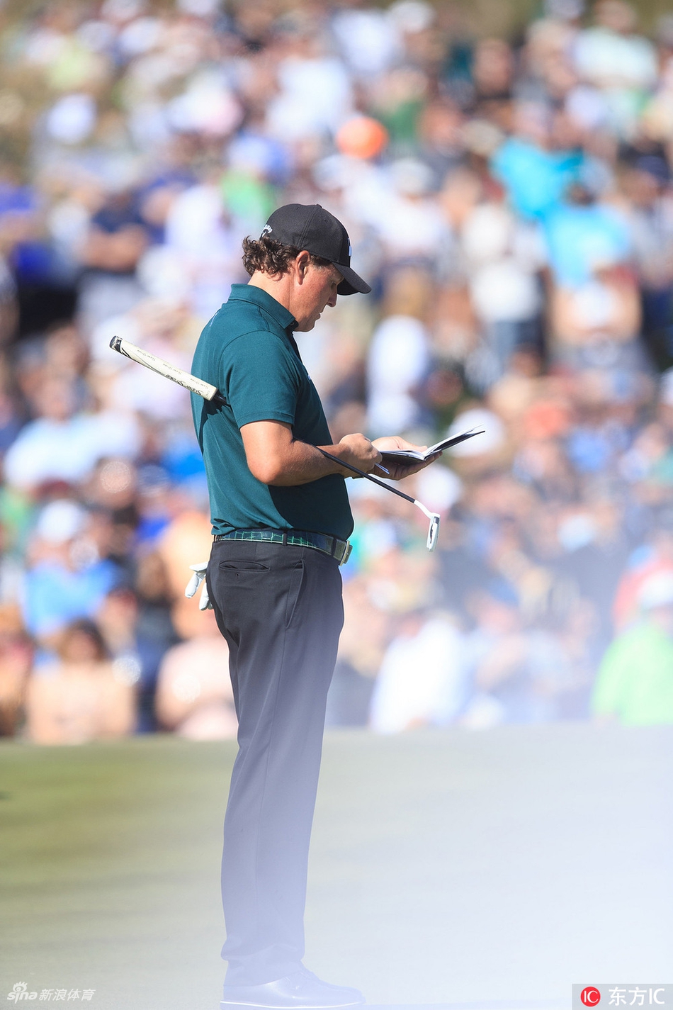 球员在万众欢呼中走向第16洞果岭,享受高尔夫界最高分贝的礼遇