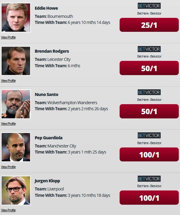 纽卡斯尔联主帅史蒂夫-布鲁斯在场边呐喊指挥，尽管球队战绩有所起伏，但他依然承受着巨大的下课压力