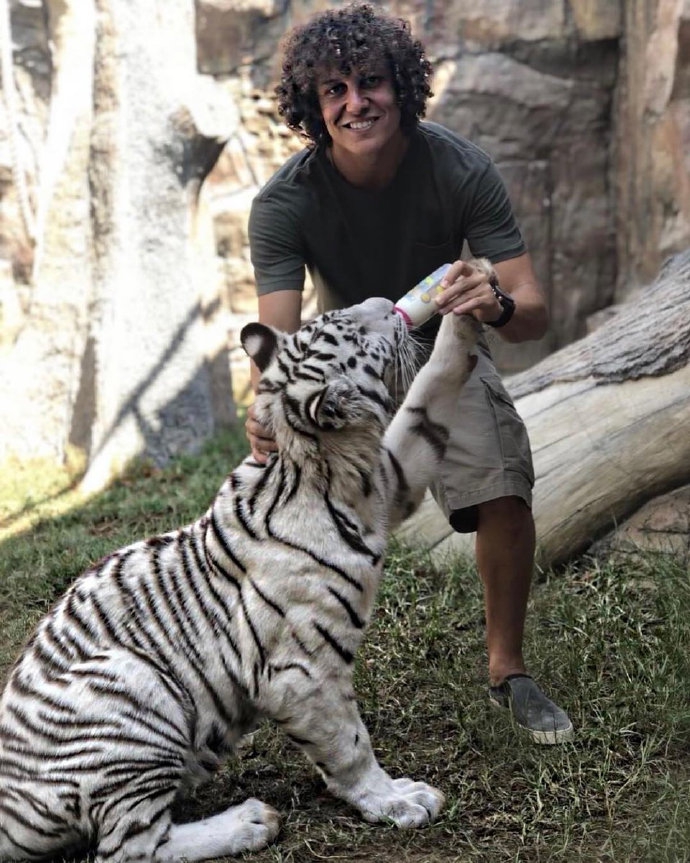 喂食成功后，路易斯开心地看着老虎，他的蓬蓬头在阳光下格外显眼，脸上洋溢着孩子般满足和快乐的笑容。