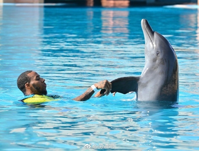 亚当斯轻轻托起一只俏皮的海豚,仿佛在他乡遇故知,这只海洋精灵也仰起头回应着这位来自远方的大个子朋友。