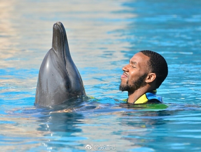 身披阳光的亚当斯在迪拜的湛蓝海水中,与优雅的海豚来了一次亲密的鼻尖对鼻尖,仿佛在交流着关于远方的秘密。