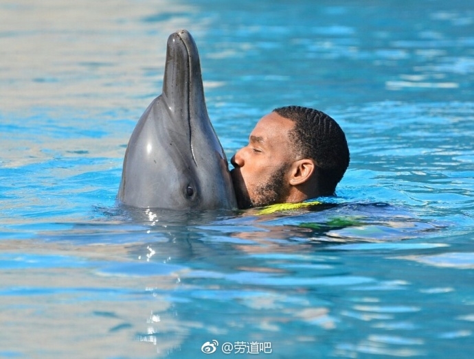 水花飞溅中,亚当斯畅快地与海豚并肩遨游,他脸上洋溢着的笑容比迪拜的阳光还要灿烂,这一刻他不是球场上的孤独英雄。