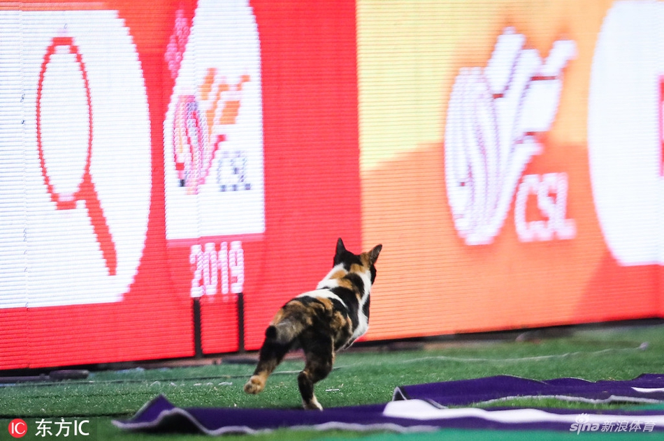 法国德国-乐鱼app(leyu)官方网站-乐鱼官网