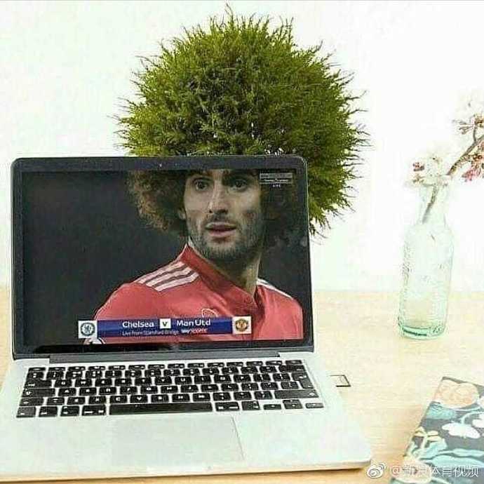 赛场上的经典瞬间，球员标志性的蓬蓬头发型在阳光下如同金色的棉花糖般蓬松醒目，充满了动感与活力。