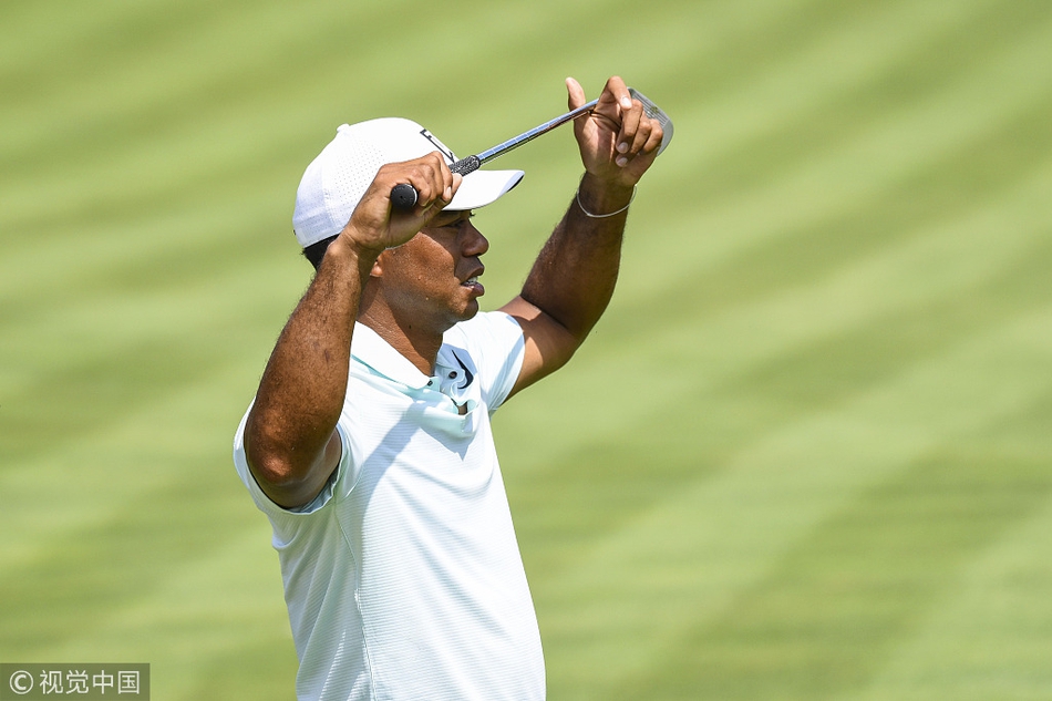 伍兹在果岭边细致观察推杆线路，身影与绿茵融为一体，尽显大师风范