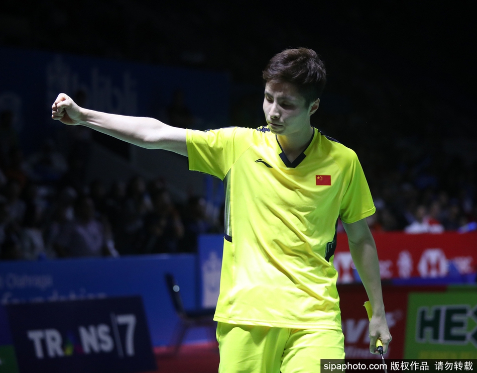 人类游乐场马桶人模组下载-人类游乐场马桶人模组手游最新版v6.1