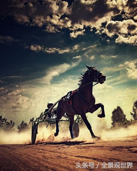 一组赛马图片欣赏，感受马带给你的速度与激情_高清图集_新浪网