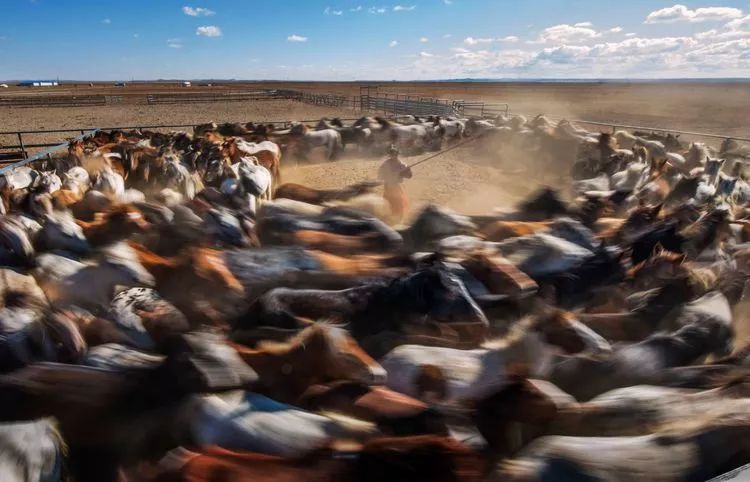 im·体育(中国)app