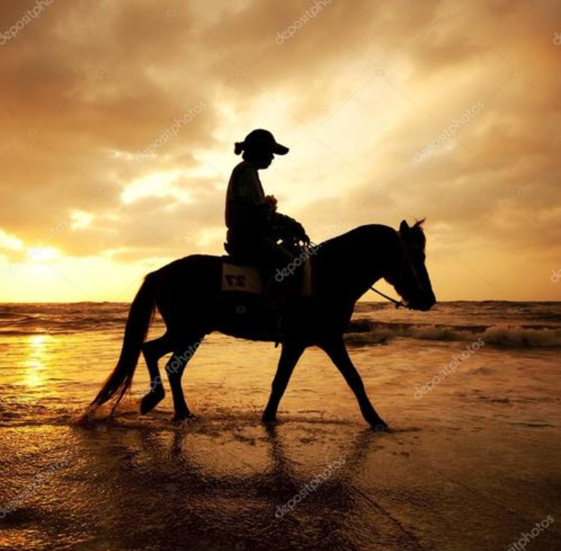 夕阳西下,浪子沙滩遛弯带马